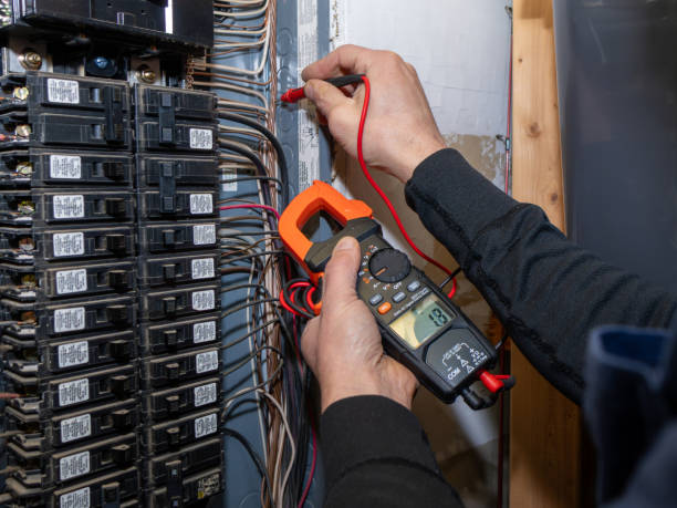 Best Electric Panel Repair  in Whitg, IN